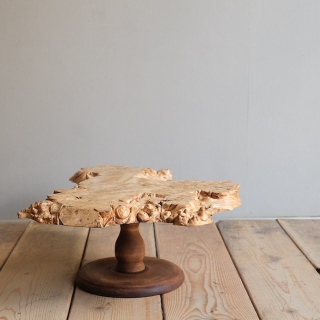 ݤΥơ֥R-select ǥץȡ