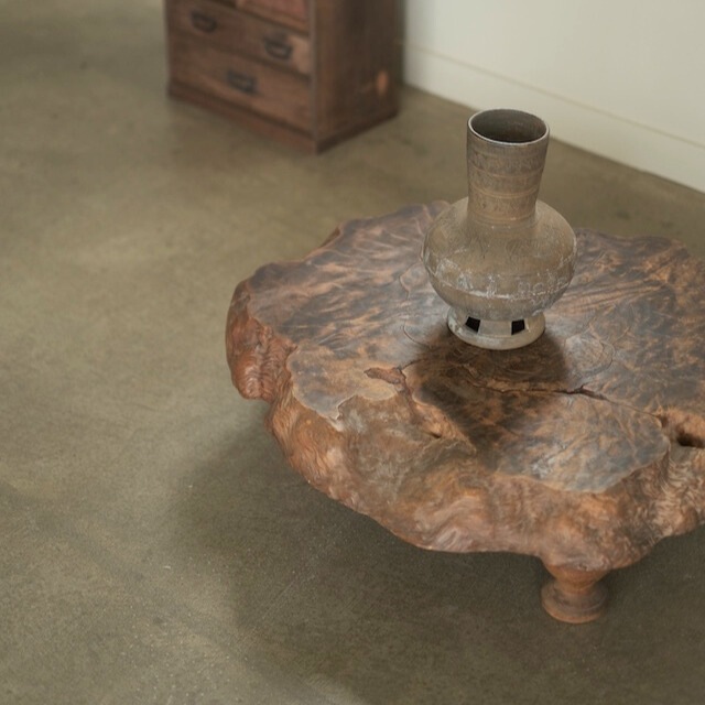 ���ݥ����ơ��֥��R-select ��ǥ�����ץ�������