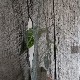 ���ۡ��������ϡ��ʣ��ҡ�