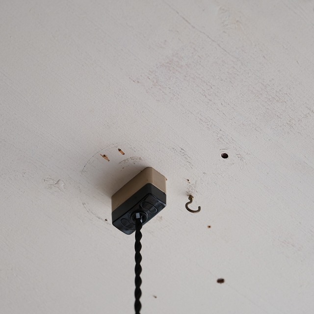 򥬥饹ڥȥ饤ȡʿʪաˡ