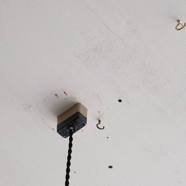 򥬥饹ڥȥ饤ȡʿʪաˡ