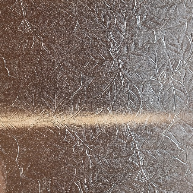 ��������ӥͥåȡ���ȥ����饹���ա�