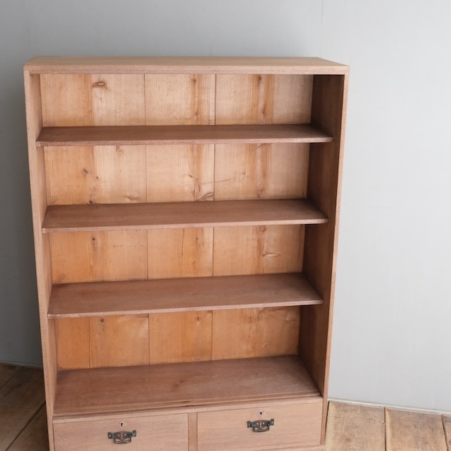 ����ӥͥå�