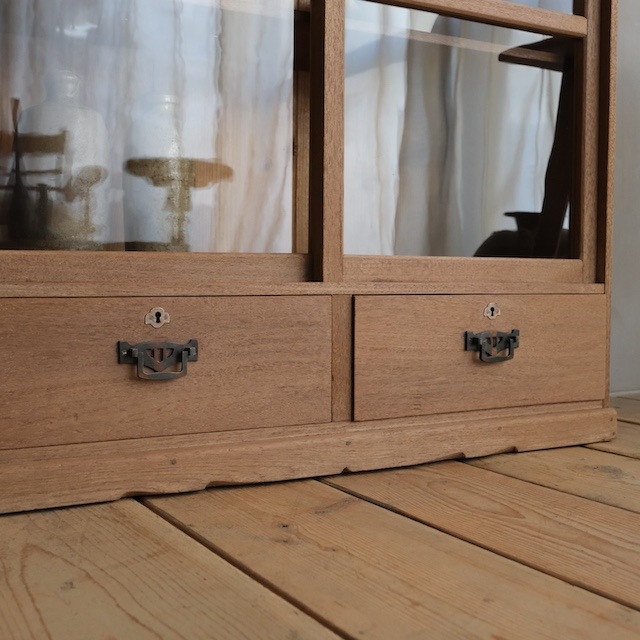 ����ӥͥå�