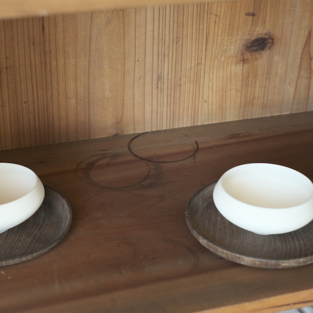 ����ӥͥåȡóʻ���