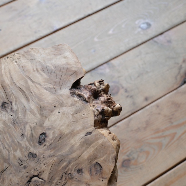 ���ݤΥơ��֥��R-select ��ǥ�����ץ������ȡ�