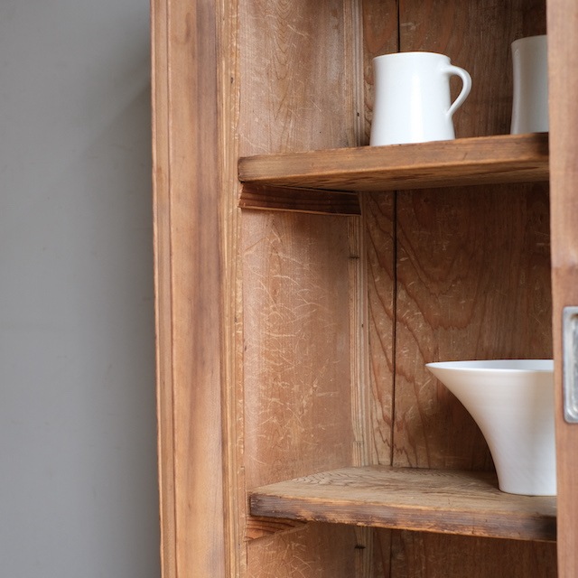 ����ӥͥå�