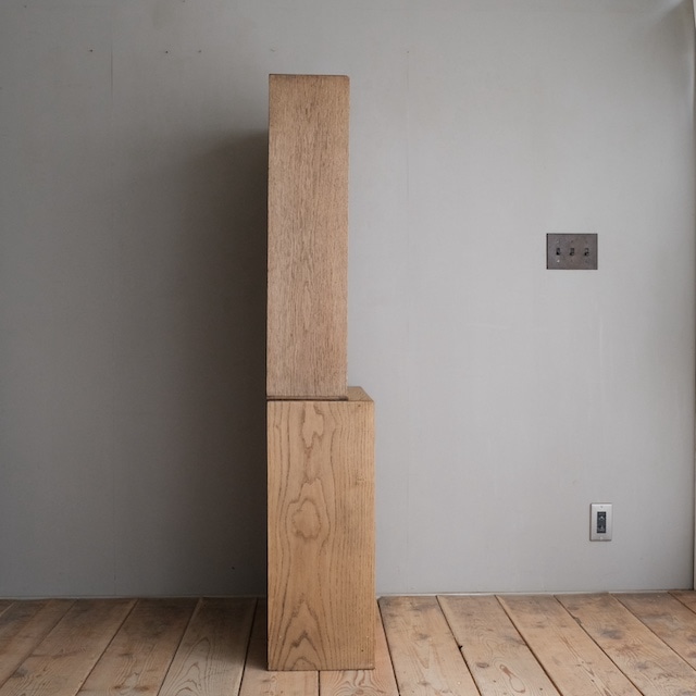 ����ӥͥåȡ������