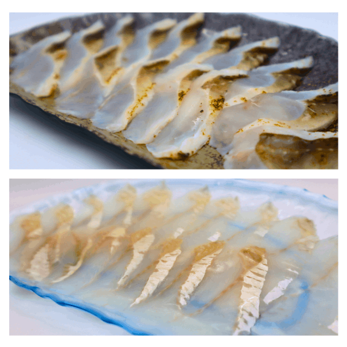 껺ŷʤλɿȡפȡŷդɿȡפΥåȡףʳƣˡۡʵ