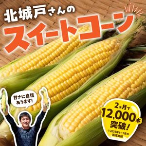 ��ԡ�����³�С��̾�ͤ���κΤ줿�ƥ������ȥ�����ʽ�������