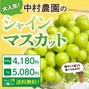��¼����Τ��ޡ�����γ���㥤��ޥ����å� (��800g����1kg��