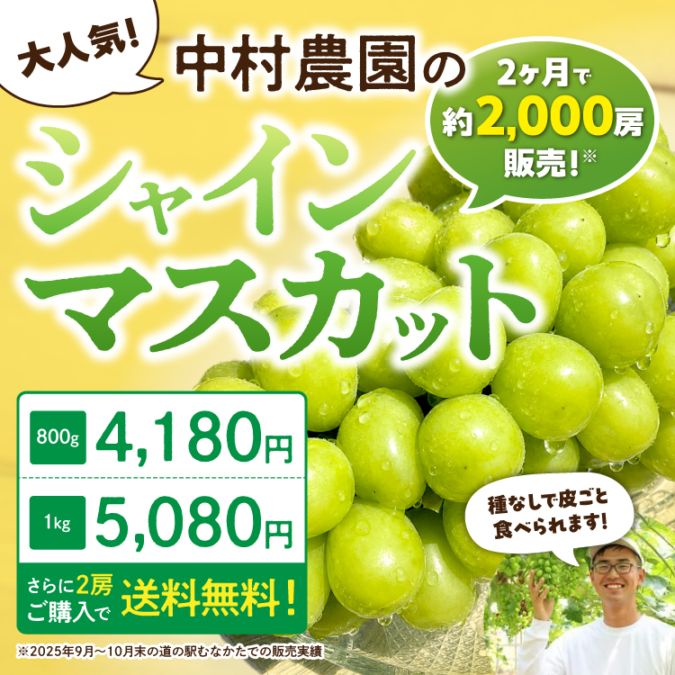 今期販売終了】2ヶ月で約2,000房販売！中村農園のあま～い大粒シャイン