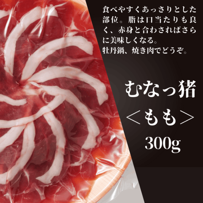 来野　月乙　牡丹　肉質画 野田弘志 「 牡丹 」 ー 版画集 眼の記憶より 銅版画 洋画 絵画 花