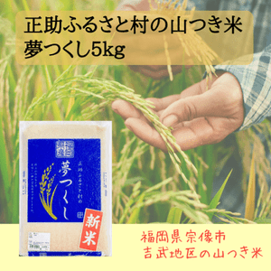 ������7ǯ�ٻ��������դ뤵��¼ ���Ĥ��� ̴�Ĥ�����5kg��