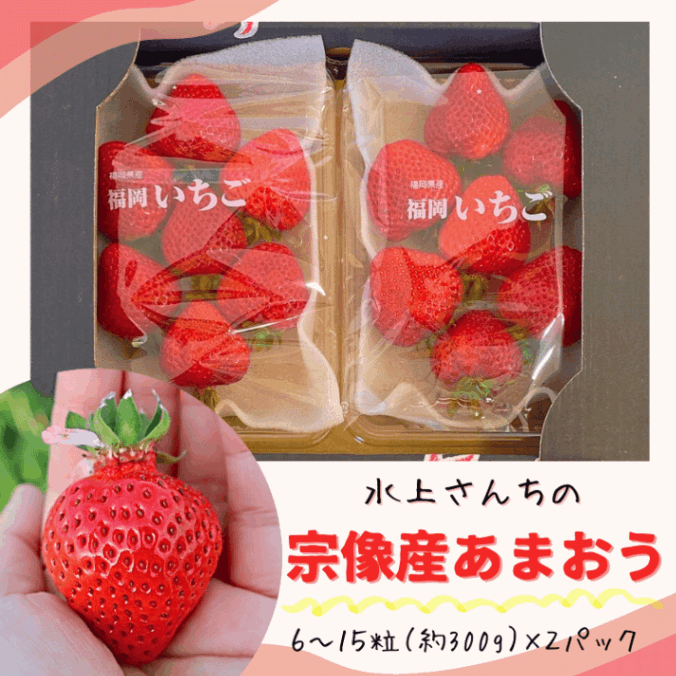 夵νޤ 6γ15γ300gˡ2ѥå¢