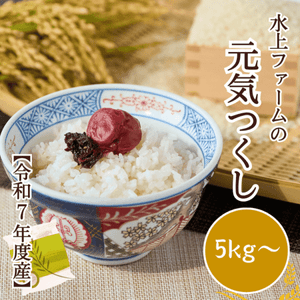 ������7ǯ�ٻ��ۿ��ե�����θ����Ĥ��� ���� 5kg��10kg��20kg��ʡ���������Ի���