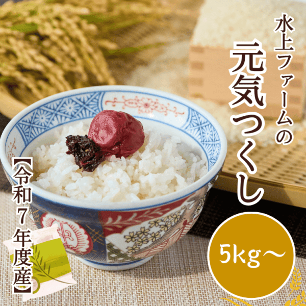 令和7年度産】水上ファームの元気つくし 白米 5kg／10kg／20kg【福岡県