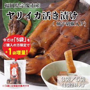 �ڤʤ��ʤ꼡�轪λ��5�޹����ǡ�1�ޡ۽�����ŷ����ꥤ���γ褭�Ҥ��ʾ���������3�ޡ�5�ޡ������