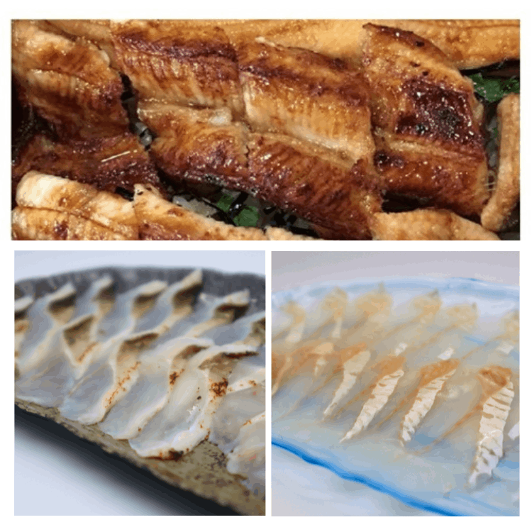 Ծ껺ŷʤλɿȡסŷʤդɤסŷʤоƤץå ף