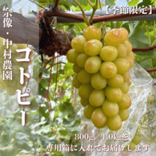 �ں���ʬ��λ���ޤ����۽�������¼����Υ��ȥԡ� (1˼) 800g����kg