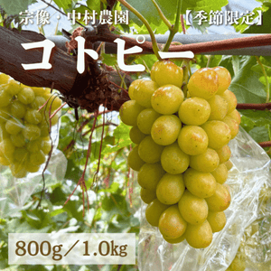 ��������¼����Υ��ȥԡ� (1˼) 800g����kg
