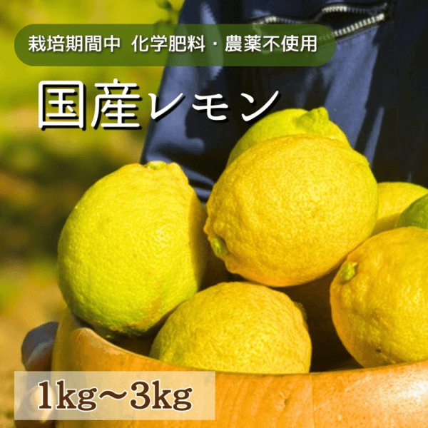 季節限定【宗像市産】福の岡農園 レモン（国産）1kg／2kg／3kg