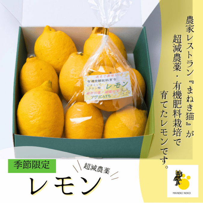 レモン出品 季節限定】農家レストランまねき猫 農薬不使用 有機肥料栽培レモン 1kg