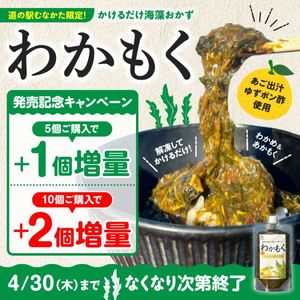 ��ȯ�䵭ǰ���̥����ڡ�����۽����狼�⤯�ä��������̣�դ�������(�ޥ������建)�������