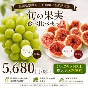 4月12日まで】花田さんちのこだわりいちご『花福苺』300g（6～9粒）×2
