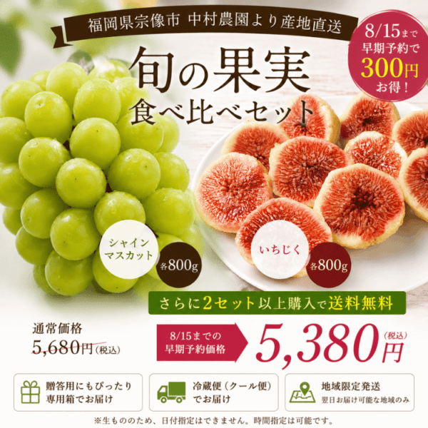 早期予約キャンペーン】中村農園 旬の果実食べ比べセット（シャイン