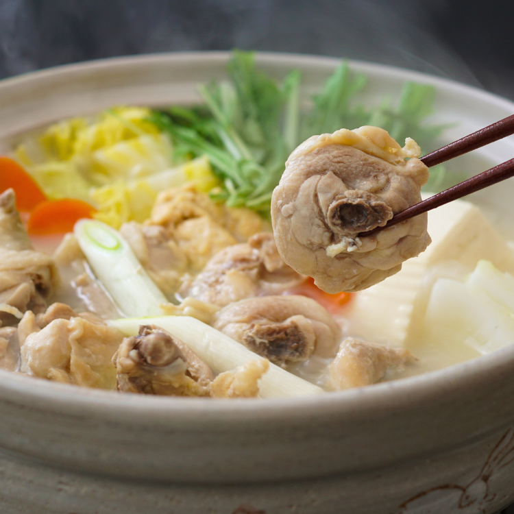 �ڼ�������2026ǯ1�����ۿ����椵���YouTube�ֿ�����ube�פǤ��Ҳ� ��ʤ����ܿ�椭���åȡʣ����������ˡʹ��դ����֥��ڤ��դ��˥����פ��äפꣲ�ޡ��������