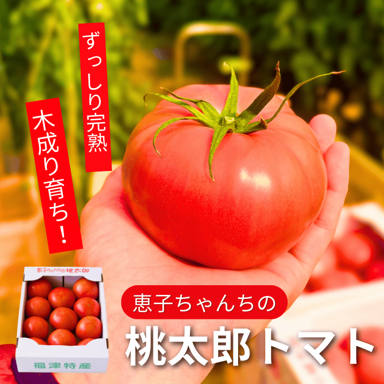 �ûҤ�������������ȥޥ� 2kg��4kg ����¢��