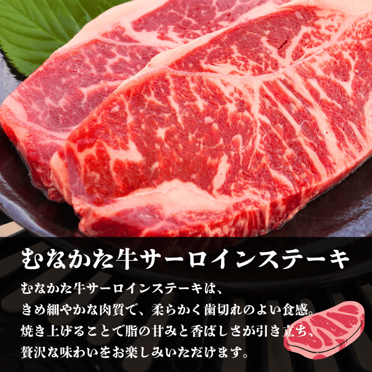 ��ʤ��������������󥹥ơ���250g����2�硿4�� �������