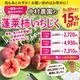 �ں������佪λ��9��äѤ������佪λ����¼���� ������ ˩����ʤۤ��餤����1.6kg��3.2kg��4.8kg����¢��