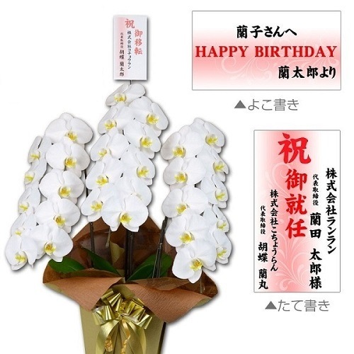 ˼ߥ˸ĳإԥ󥯥Хե饤١Ω