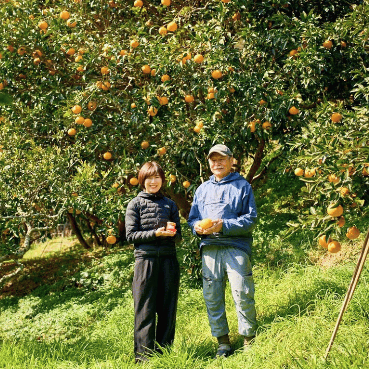 �ڵ�����ꥻ�åȡۤ��ޤ�������ե����塼��ȴŲƥޡ��ޥ졼�ɡ�140g��2�ġʥ᥾�󥹥������