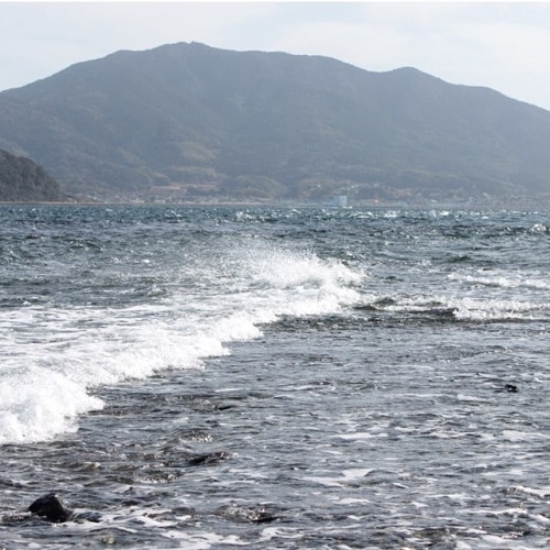 ���绺ŷ���������Ŧ�ߤ������ߤ狼�ᡡ�ߣ��ޡ���������ۡ�����7ǯ�ٻ���