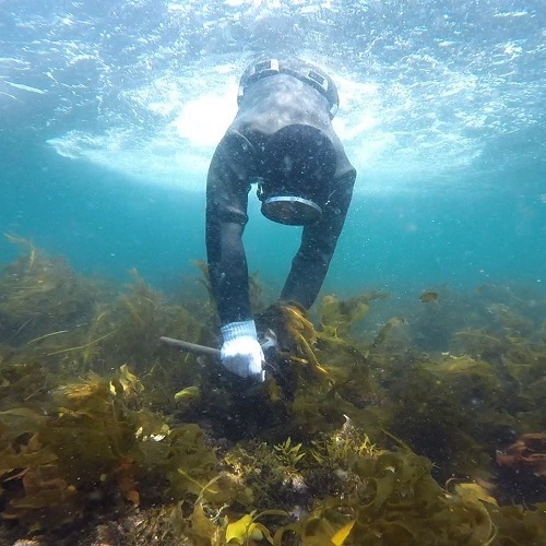 ���绺ŷ���������Ŧ�ߤ������ߤ狼�ᡡ�ߣ��ޡ���������ۡ�����7ǯ�ٻ���