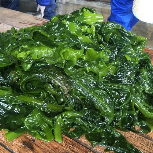 ���绺ŷ���������Ŧ�ߤ������ߤ狼�ᡡ�ߣ��ޡ���������ۡ�����7ǯ�ٻ���