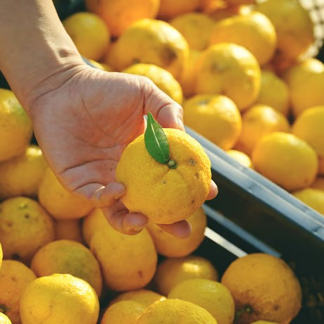 ХǫʤꡪͮҤΤݤݡܥåȡڥե߻Ұ ʾﲹ