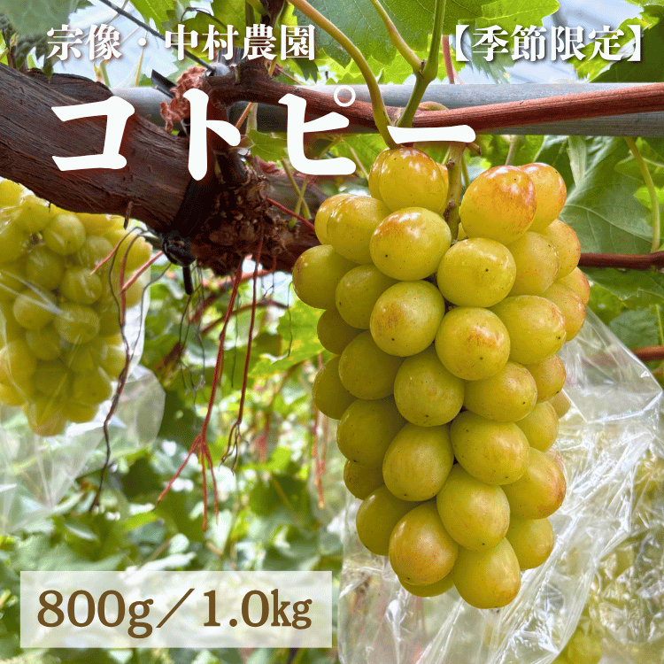 ��������¼����Υ��ȥԡ� (1˼) 800g����kg