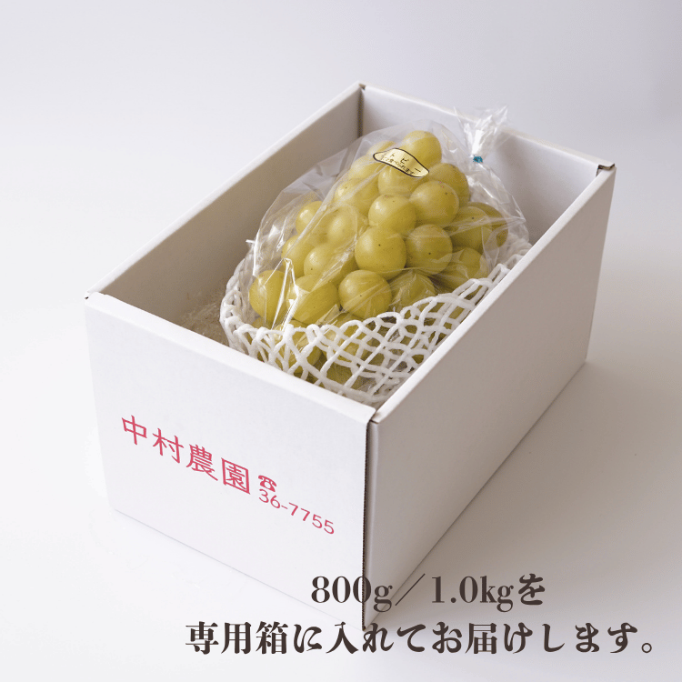 ںʬλޤ۽¼Υȥԡ (1˼) 800gkg