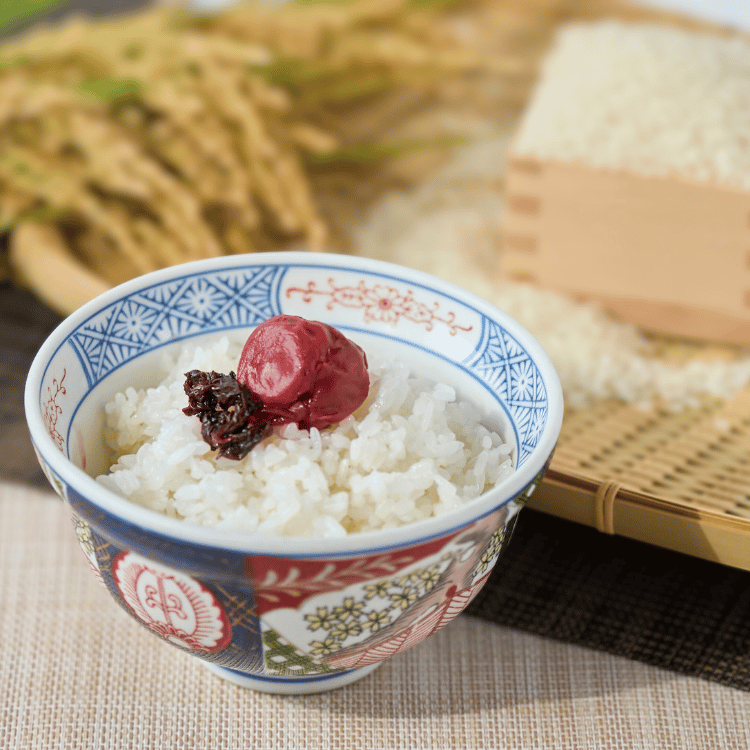 ������7ǯ�ٻ��ۿ��ե������̴�Ĥ��� ���� 5kg��10kg��20kg��ʡ������������