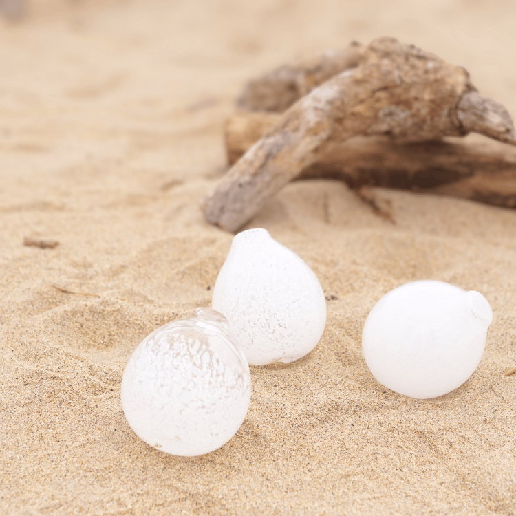 ��shirotama�ٰ����ޤ���3������1�ġ��Կ蹩˼��