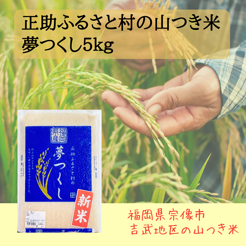 ������7ǯ�ٻ��������դ뤵��¼ �Τʤ���λ��Ĥ��� ̴�Ĥ��� 5kg��10kg��20kg�ڽ�������