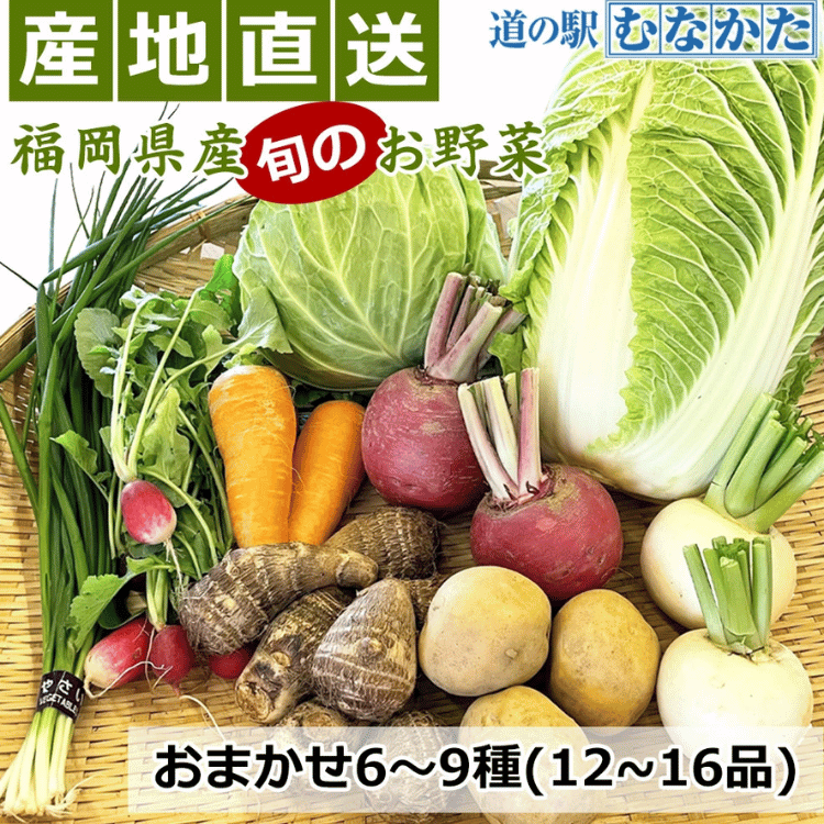 ľեνܤڤޤå 69 ¢