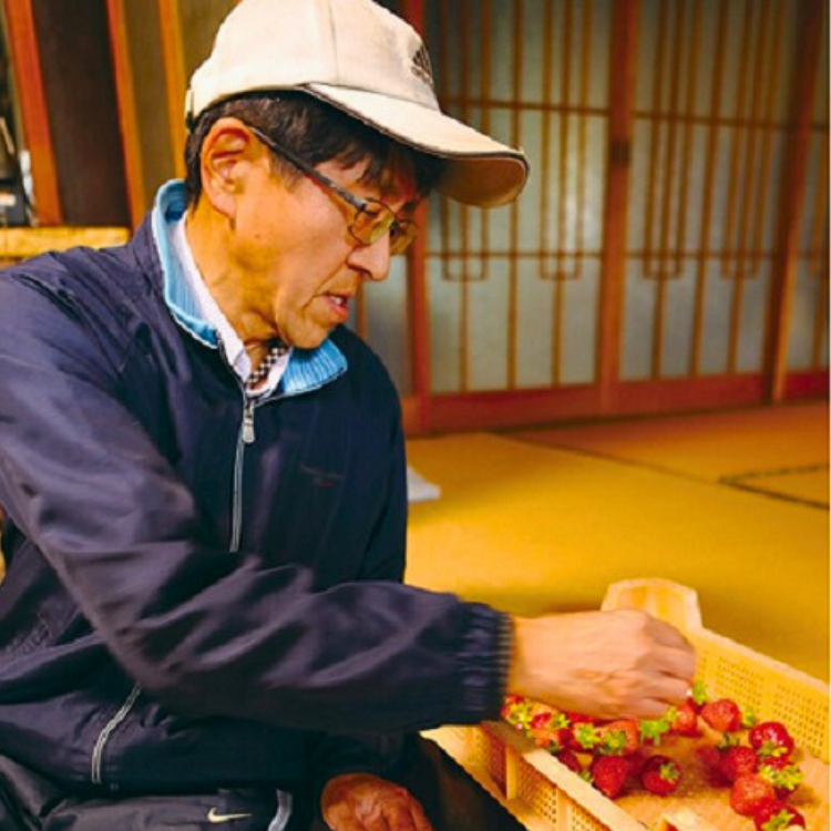 �����ܡ����������ޤ���������14γ����280g�ˡ�2�ѥå� (��������ͺ)������¢��