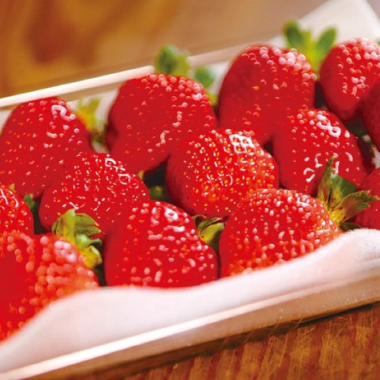 �����ܡ����������ޤ���������14γ����280g�ˡ�2�ѥå� (��������ͺ)������¢��