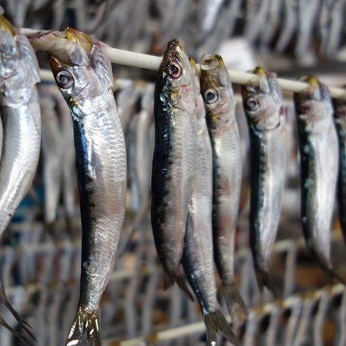 ���ݿ建�������γ�������5������������