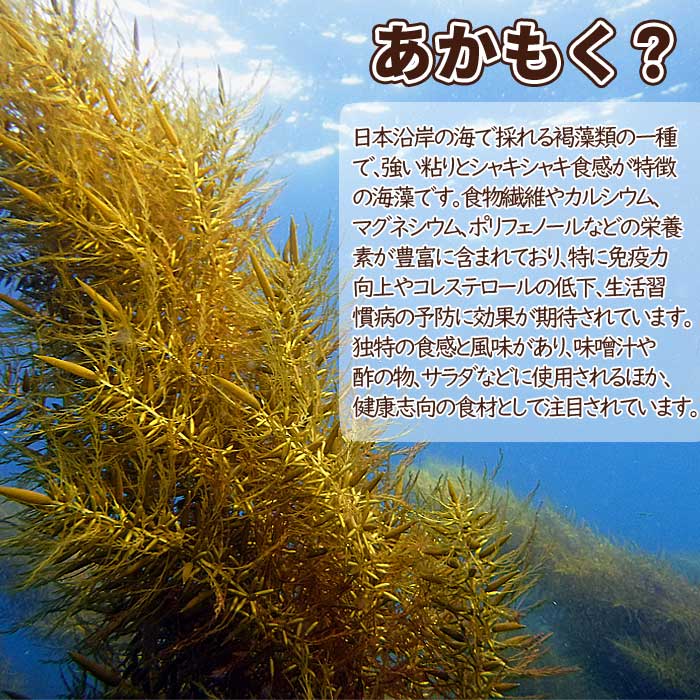 �����Τ����⤯ ��10�ѥå���������7ǯ��������ۡʥޥ������建�ˡʥ쥷���դ���